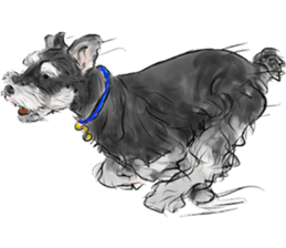 Our Schnauzers - Agility sticker #10973955