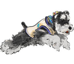 Our Schnauzers - Agility sticker #10973956