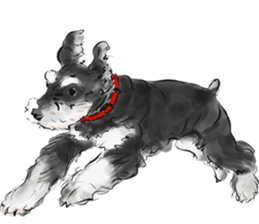 Our Schnauzers - Agility sticker #10973959