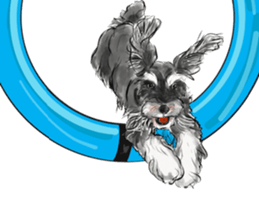 Our Schnauzers - Agility sticker #10973964