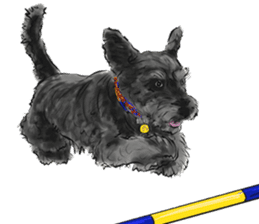 Our Schnauzers - Agility sticker #10973965