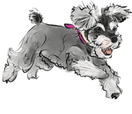 Our Schnauzers - Agility sticker #10973966