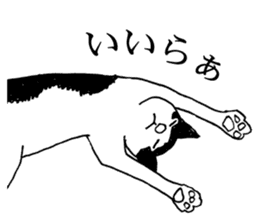 DARANEKO the Shizuoka dialect cat sticker #10974130