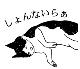 DARANEKO the Shizuoka dialect cat sticker #10974140