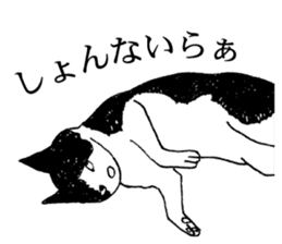 DARANEKO the Shizuoka dialect cat sticker #10974140