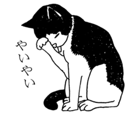 DARANEKO the Shizuoka dialect cat sticker #10974142
