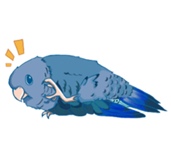 Lineolated parakeet and friends sticker #10975448