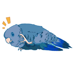 Lineolated parakeet and friends sticker #10975448