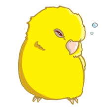 Lineolated parakeet and friends sticker #10975450