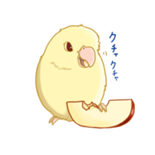 Lineolated parakeet and friends sticker #10975451