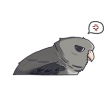 Lineolated parakeet and friends sticker #10975452