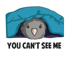 Lineolated parakeet and friends sticker #10975458