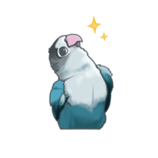 Lineolated parakeet and friends sticker #10975460