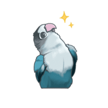Lineolated parakeet and friends sticker #10975460