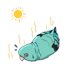 Lineolated parakeet and friends sticker #10975462