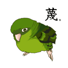 Lineolated parakeet and friends sticker #10975466