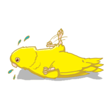 Lineolated parakeet and friends sticker #10975473