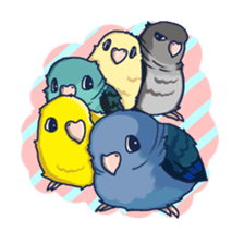 Lineolated parakeet and friends sticker #10975480