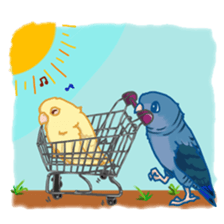 Lineolated parakeet and friends sticker #10975481