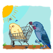 Lineolated parakeet and friends sticker #10975481