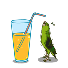 Lineolated parakeet and friends sticker #10975484