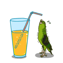 Lineolated parakeet and friends sticker #10975484