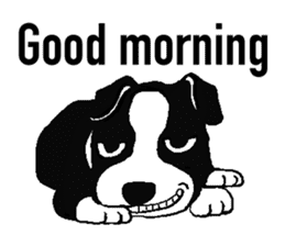 Doggy daily sticker #10975929