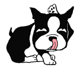 Doggy daily sticker #10975944