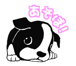 Doggy daily sticker #10975955