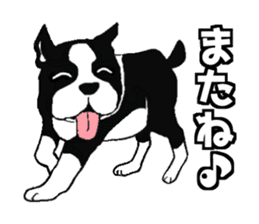 Doggy daily sticker #10975956
