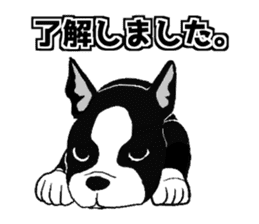 Doggy daily sticker #10975957