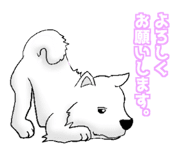 Doggy daily sticker #10975958