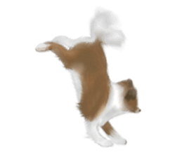 Shetland Sheepdog vo2 sticker #10977888