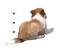 Shetland Sheepdog vo2 sticker #10977891