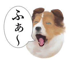 Shetland Sheepdog vo2 sticker #10977901