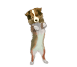 Shetland Sheepdog vo2 sticker #10977902
