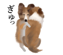 Shetland Sheepdog vo2 sticker #10977905