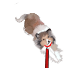 Shetland Sheepdog vo2 sticker #10977906