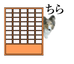 Shetland Sheepdog vo2 sticker #10977907