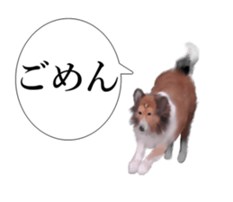 Shetland Sheepdog vo2 sticker #10977909