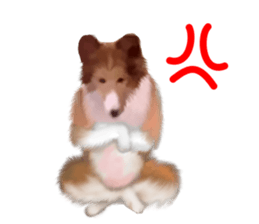 Shetland Sheepdog vo2 sticker #10977910