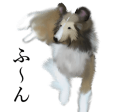 Shetland Sheepdog vo2 sticker #10977915