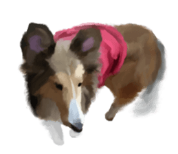 Shetland Sheepdog vo2 sticker #10977916