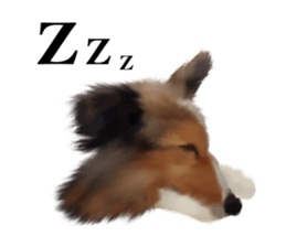 Shetland Sheepdog vo2 sticker #10977918