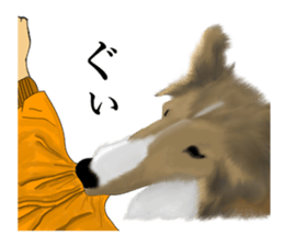 Shetland Sheepdog vo2 sticker #10977919