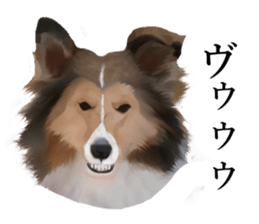 Shetland Sheepdog vo2 sticker #10977921