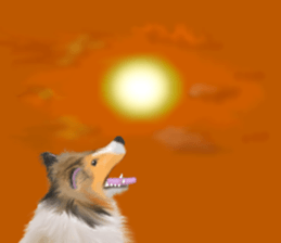 Shetland Sheepdog vo2 sticker #10977926