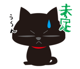 Sticker teaser black cat sticker #10978386