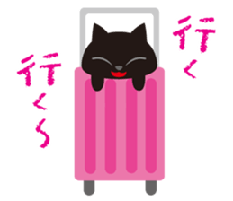 Sticker teaser black cat sticker #10978397