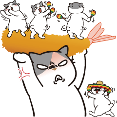 OBAKAWA cat C'eC 7 Let's play together